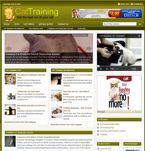 Cat Training